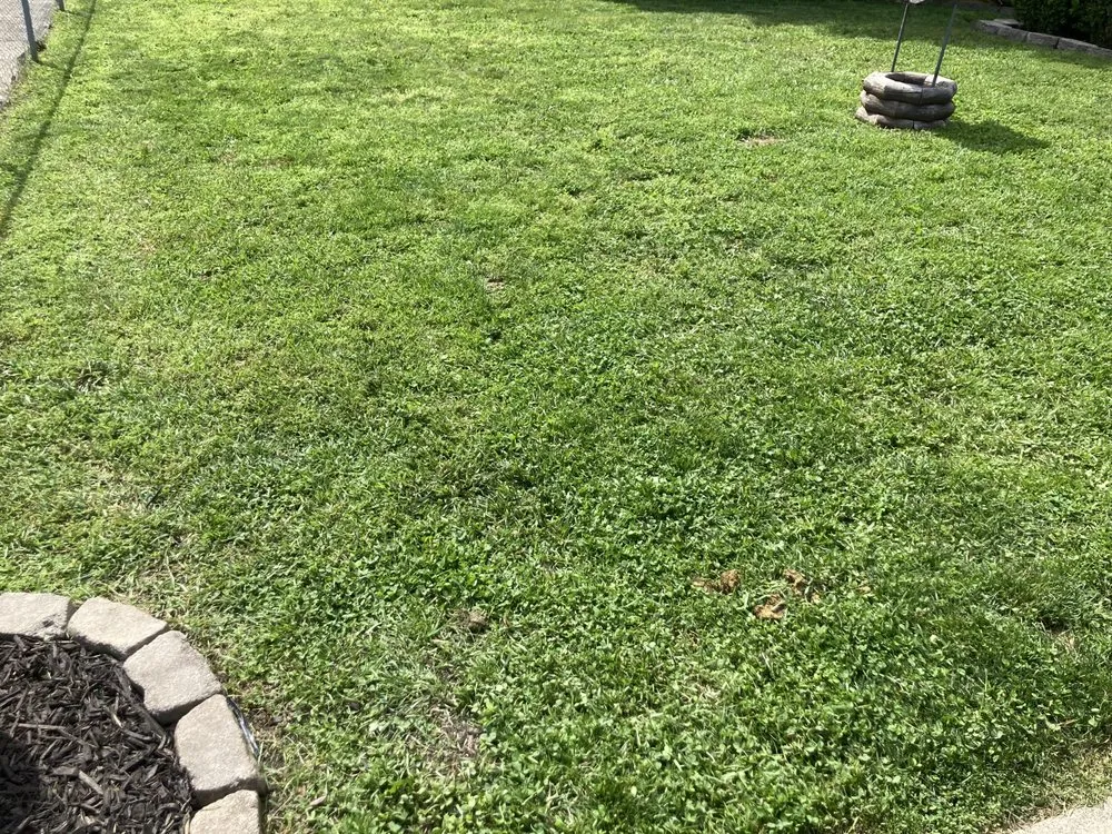 Custom residential landscaping experts serving Huber hights, OH - Wright & Son Lawn Care