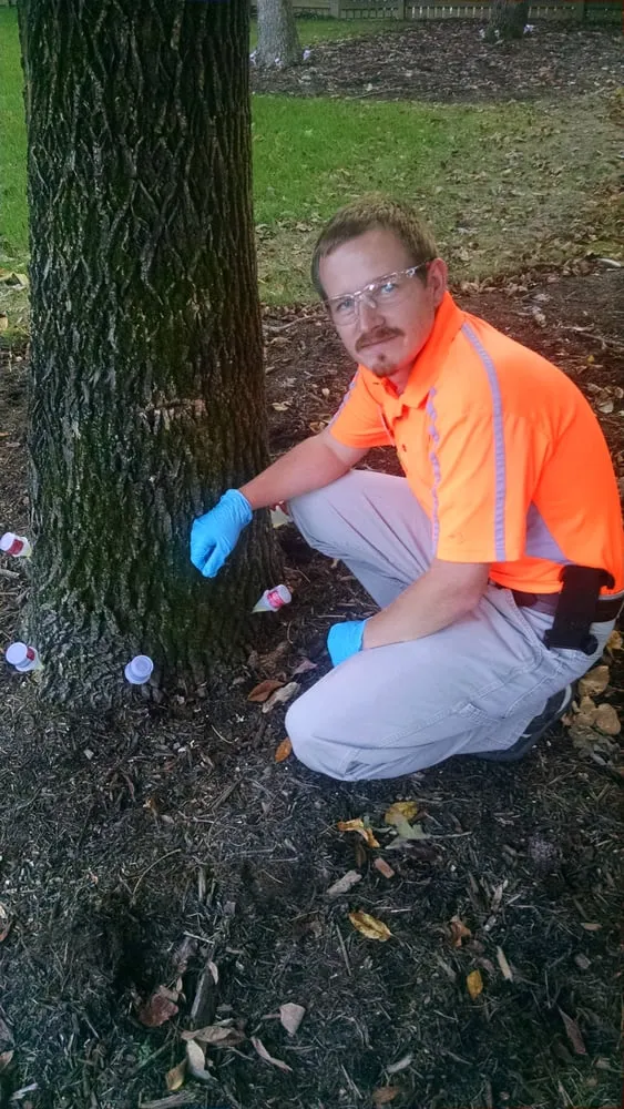 Affordable landscape design for residential properties across Carrboro, NC - Wright Brothers' Tree Service