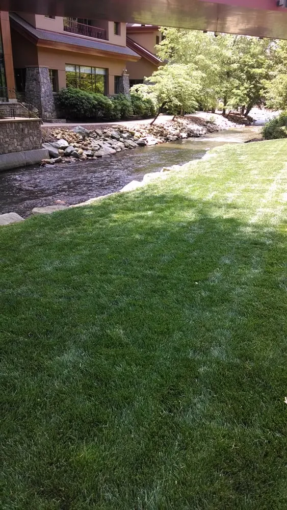 Trusted garden landscaping experts serving Carrboro, NC - Wright Brothers' Tree Service