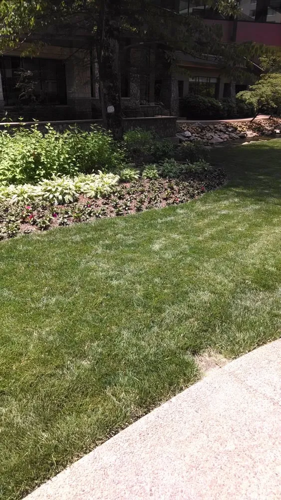 Professional residential landscaping in Carrboro, NC - Wright Brothers' Tree Service