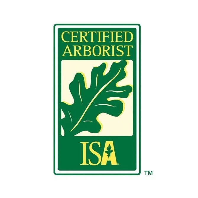 Custom lawn care service experts serving Carrboro, NC - Wright Brothers' Tree Service