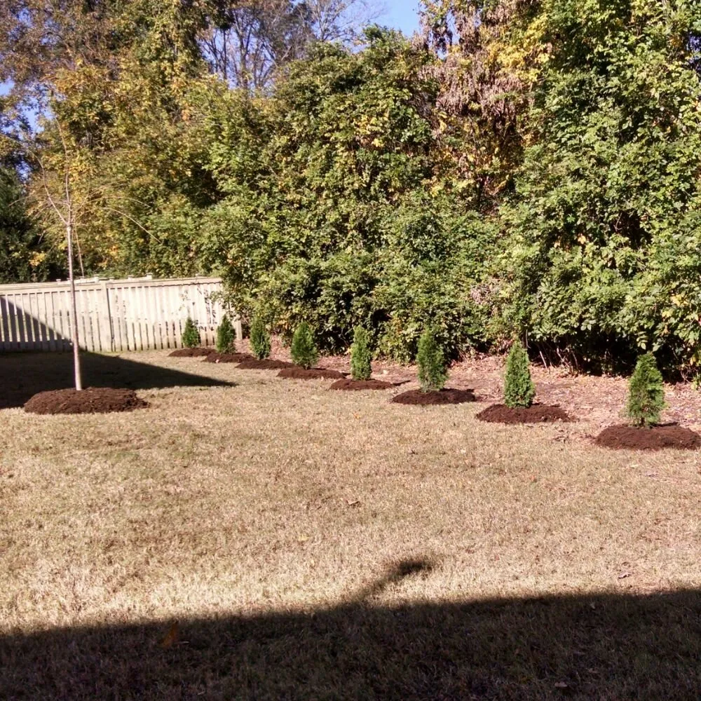 Affordable landscape design for beautiful yards across Carrboro, NC - Wright Brothers' Tree Service