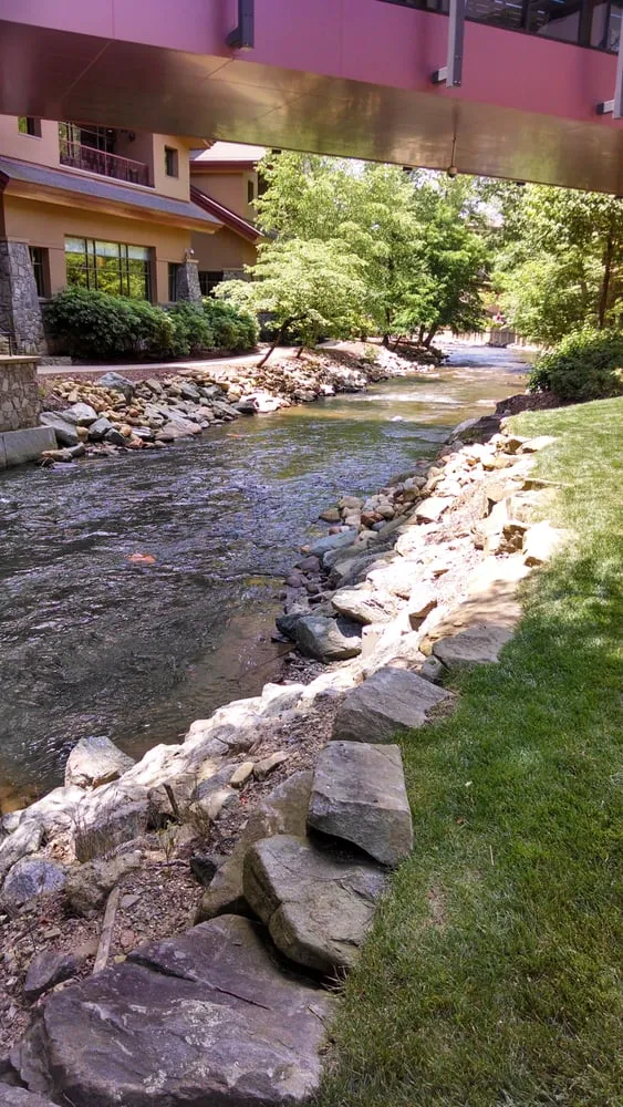 Custom landscaping services for year-round maintenance in Carrboro, NC by Wright Brothers' Tree Service