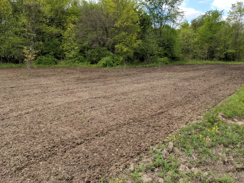 Reliable residential landscaping in Plain city, OH - Wright Caliber Construction