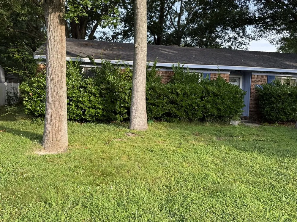 Reliable garden landscaping experts serving Virginia Beach, VA - Wright Choice Lawn Care