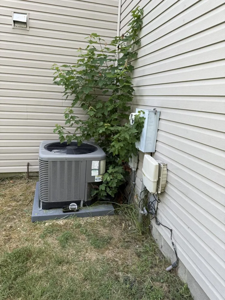 Trusted yard maintenance for outdoor upgrades across Virginia Beach, VA - Wright Choice Lawn Care