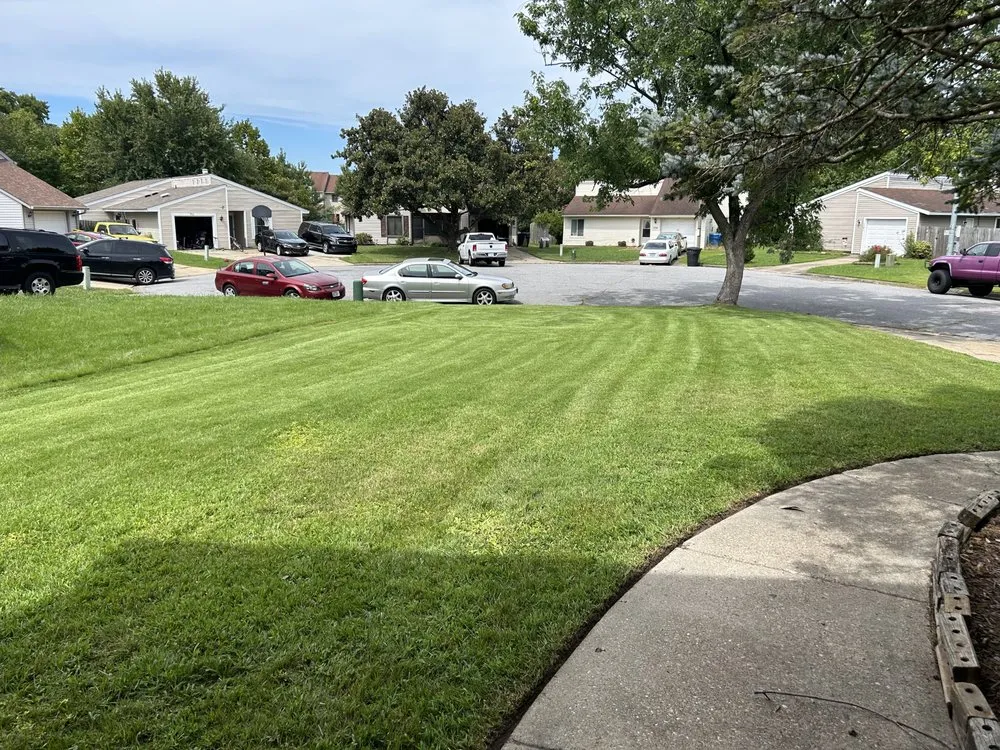 Custom yard cleanup service in Virginia Beach, VA - Wright Choice Lawn Care