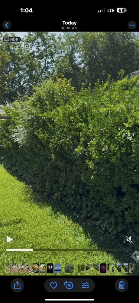 Expert garden landscaping in Virginia Beach, VA - Wright Choice Lawn Care