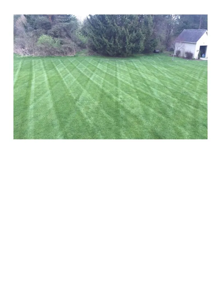 Affordable lawn care service in Flushing, MI by Wright Cut Lawn Care