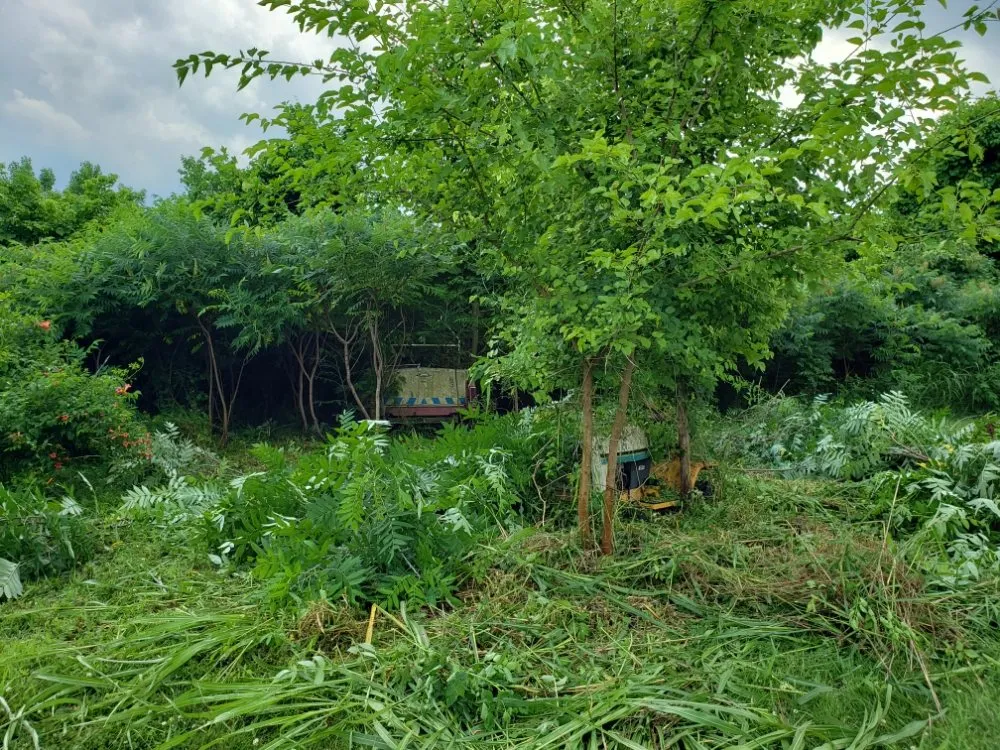 Expert landscape design in New Bloomfield, MO by Wright Family