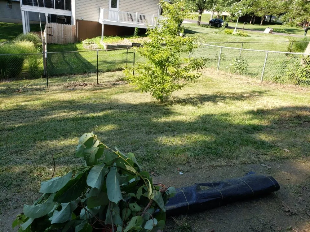 Reliable garden landscaping experts serving New Bloomfield, MO - Wright Family