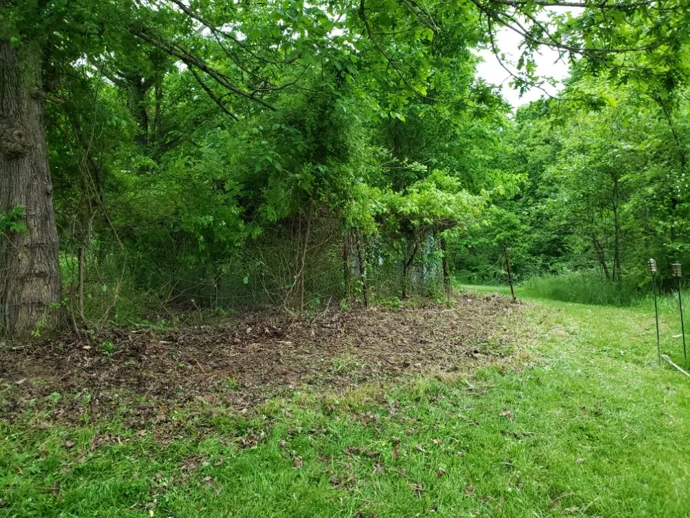 Trusted yard maintenance experts serving New Bloomfield, MO - Wright Family