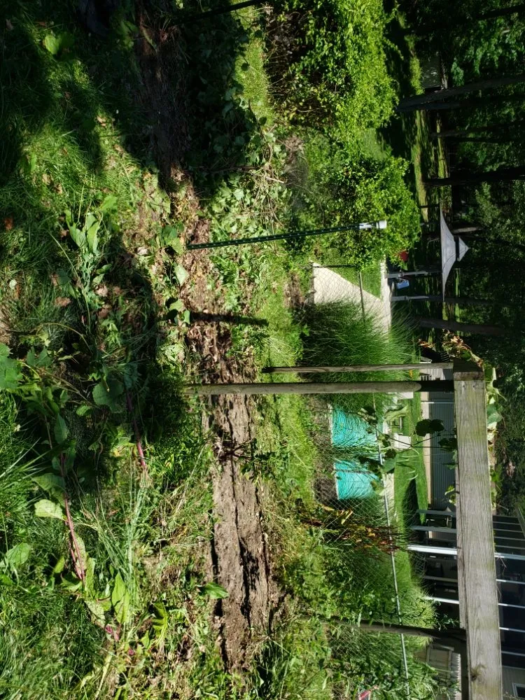 Custom landscaping services in New Bloomfield, MO - Wright Family