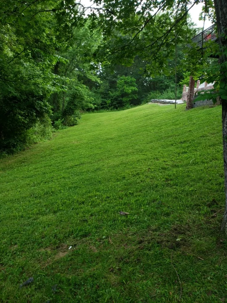 Top-rated garden landscaping for residential properties in New Bloomfield, MO by Wright Family