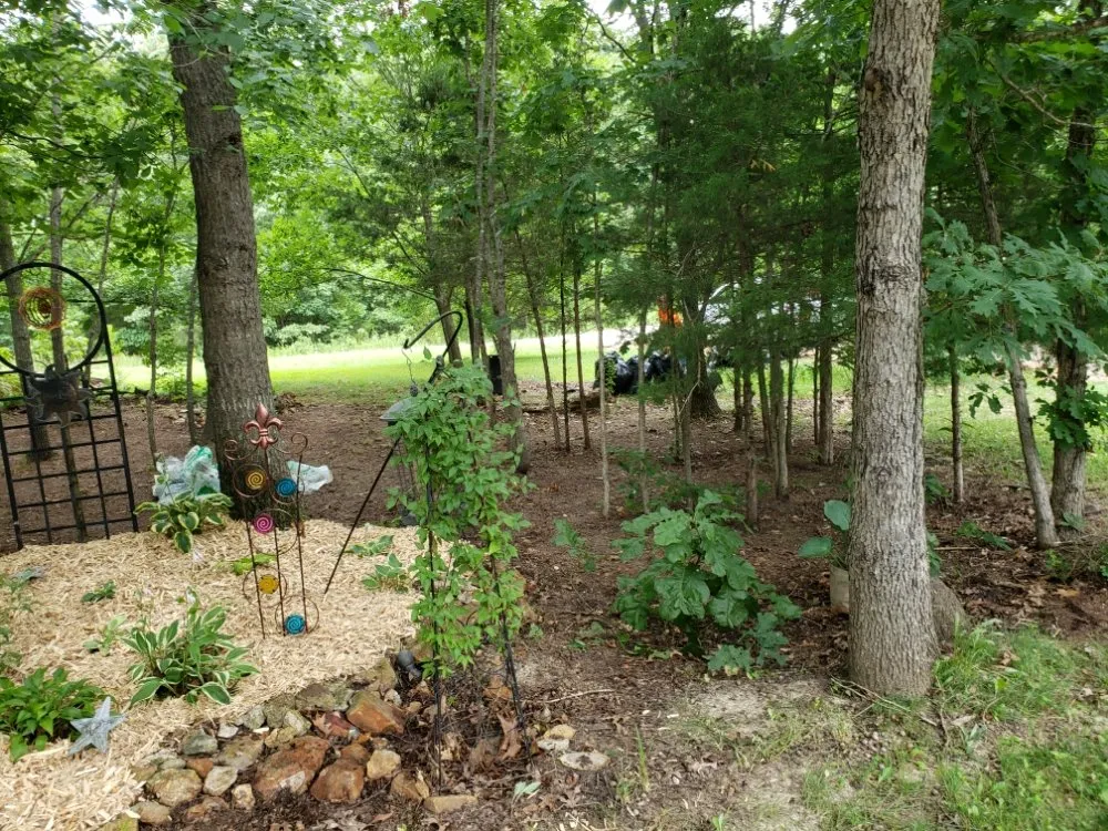 Local yard maintenance in New Bloomfield, MO by Wright Family