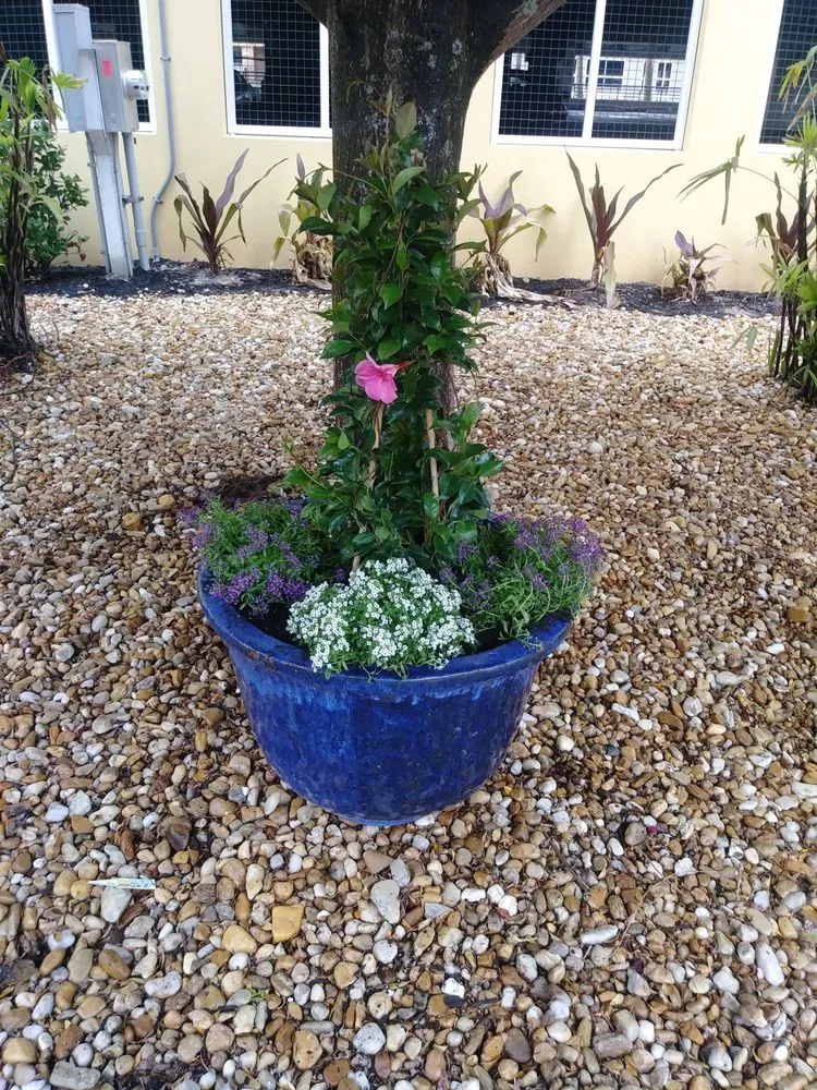 Custom residential landscaping in Cape Coral, FL by Wright Innovative Landscaping