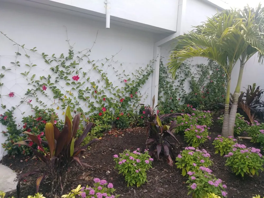 Custom outdoor landscaping in Cape Coral, FL - Wright Innovative Landscaping