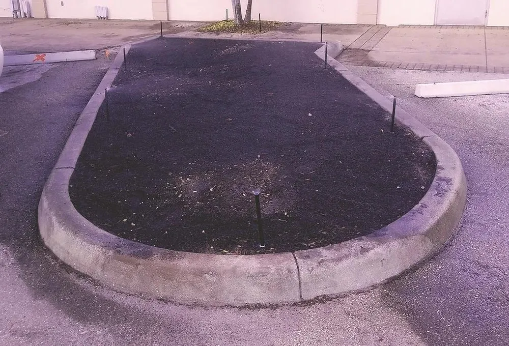 Custom lawn care service experts serving Cape Coral, FL - Wright Innovative Landscaping