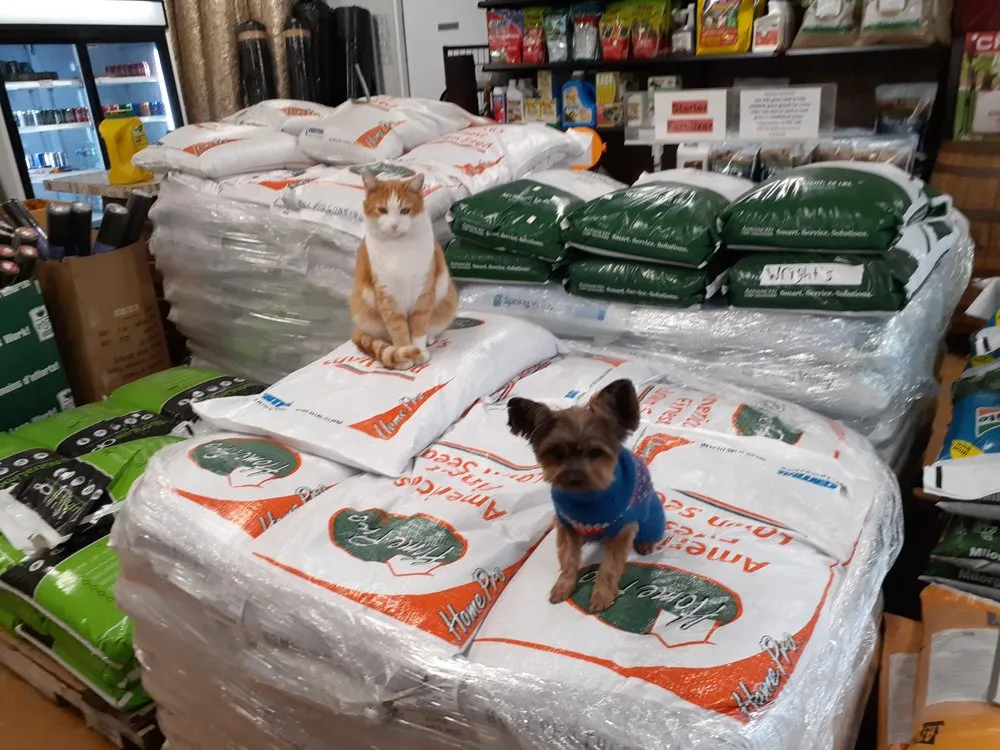 Affordable landscape design in Lancaster, OH - Wright Landscape Supply And Market Place