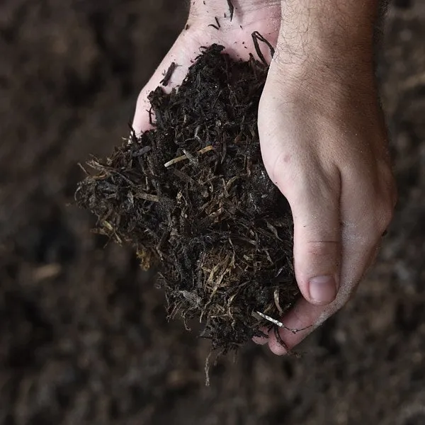 Reliable outdoor landscaping for year-round maintenance in Chillicothe, OH by Wright Landscape Supply