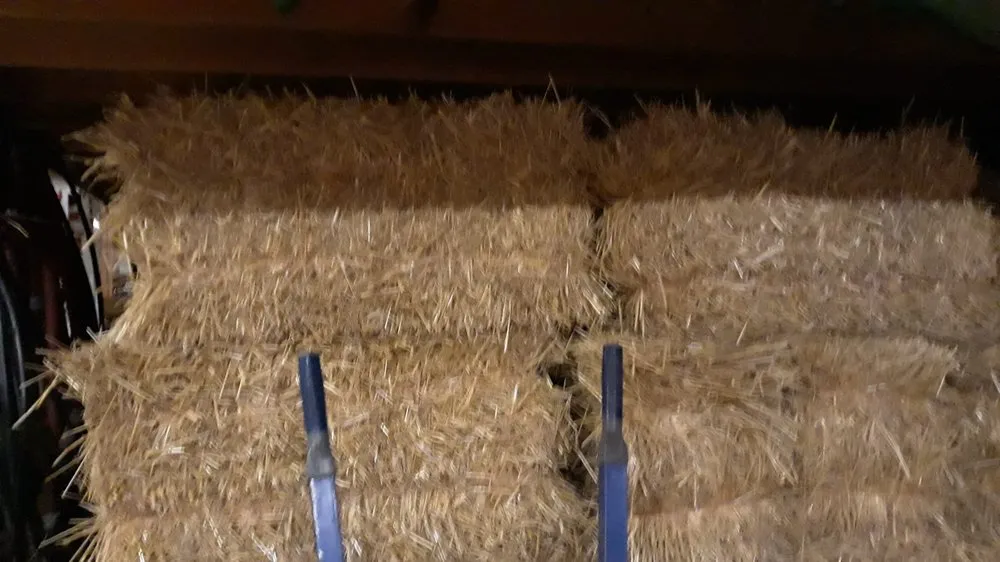 Expert yard maintenance for homes in Chillicothe, OH by Wright Landscape Supply