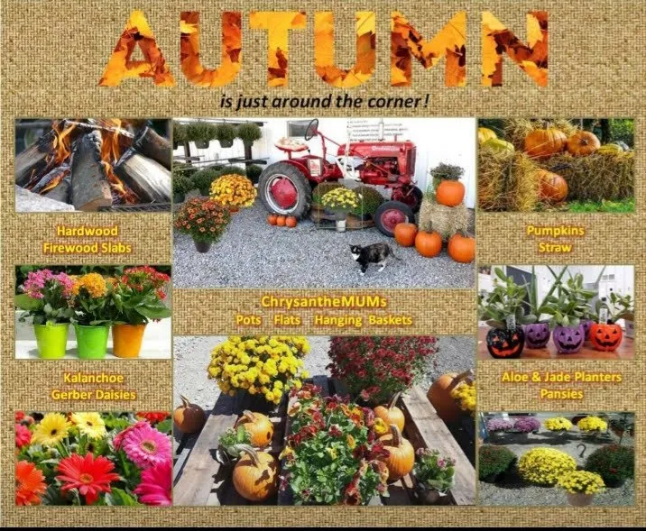 Affordable landscape design experts serving Chillicothe, OH - Wright Landscape Supply