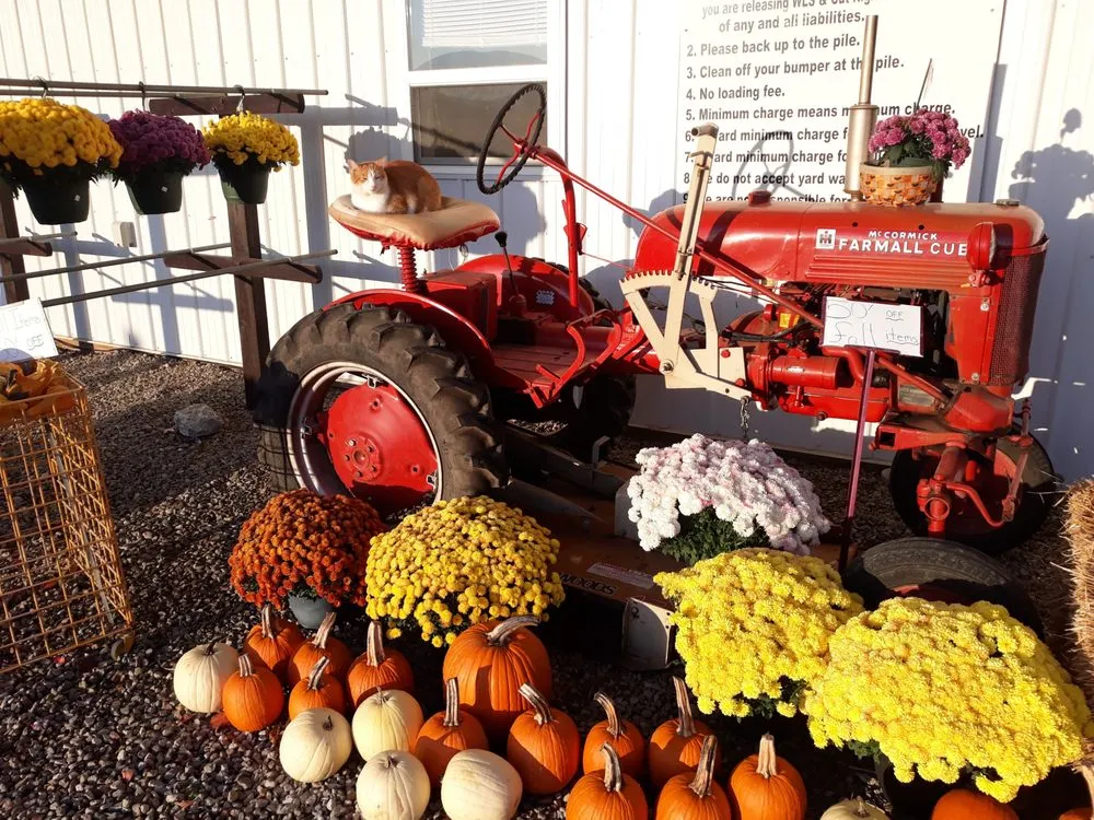 Expert lawn care service experts serving Chillicothe, OH - Wright Landscape Supply