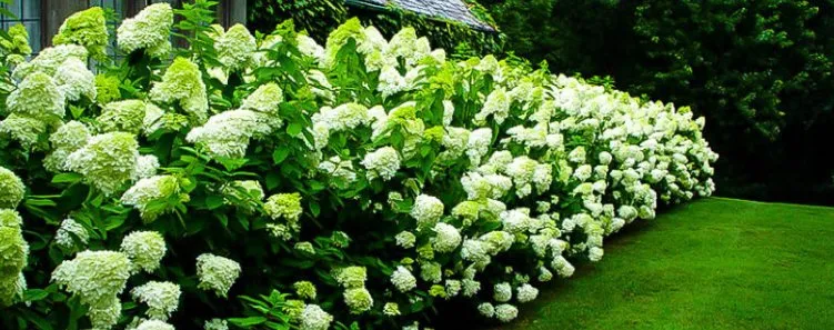 Professional landscape installation with custom design across Stow, MA - Wright Landscapes