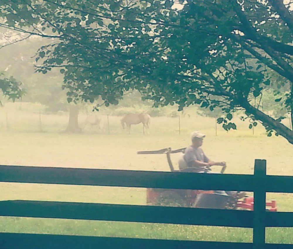 Expert outdoor landscaping with custom design in Memphis, TN by Wright Landscaping