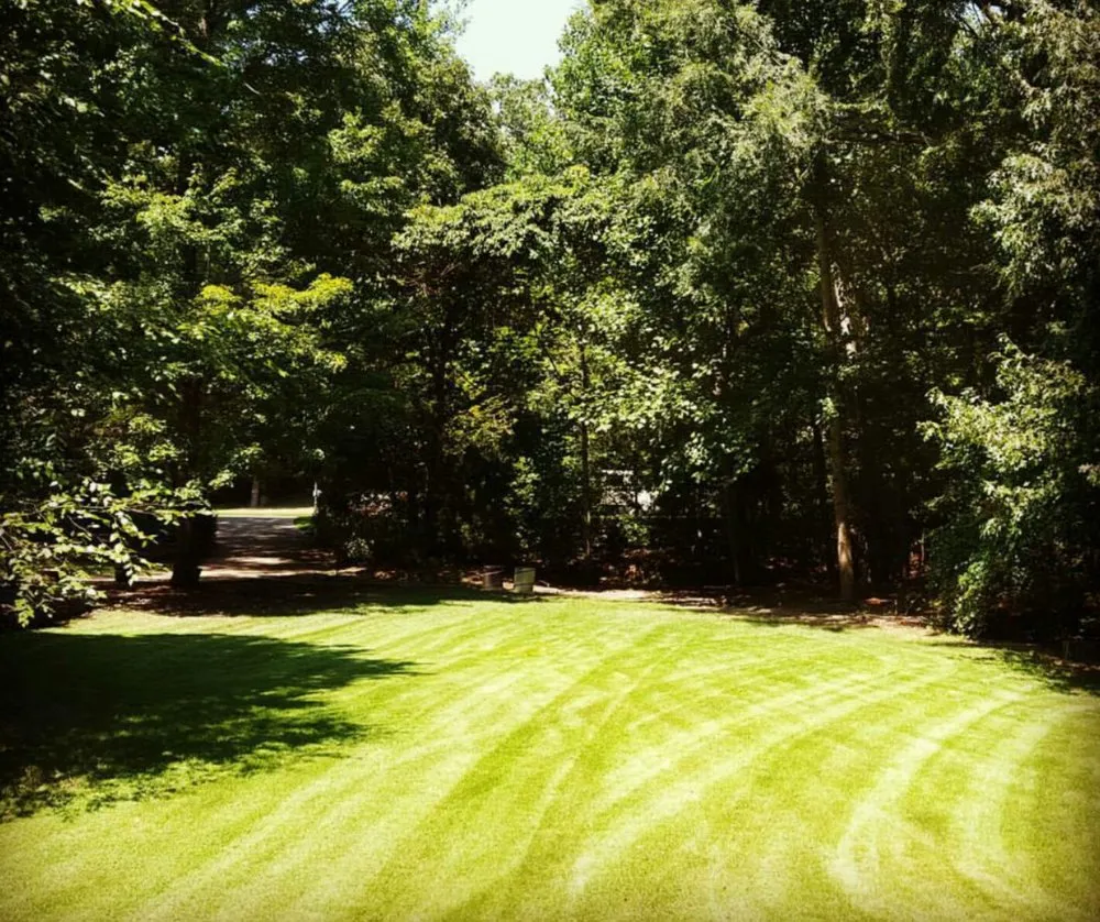 Reliable yard cleanup service experts serving Memphis, TN - Wright Landscaping