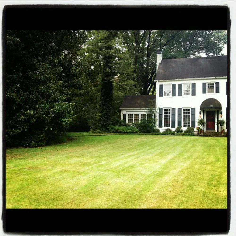 Local landscape design for year-round maintenance in Memphis, TN by Wright Landscaping