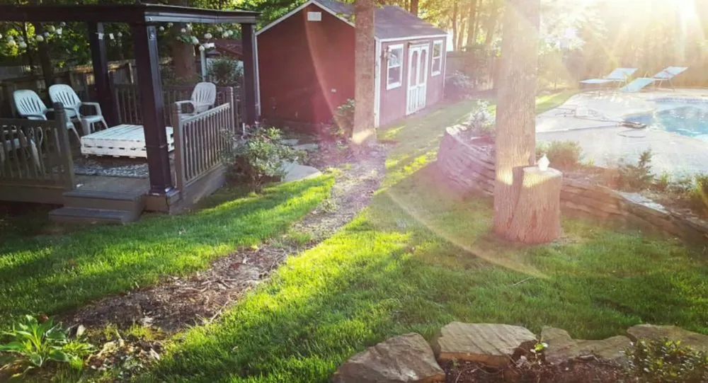 Professional lawn care service experts serving Memphis, TN - Wright Landscaping