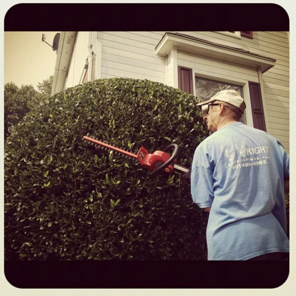 Top-rated residential landscaping for homes in Memphis, TN by Wright Landscaping