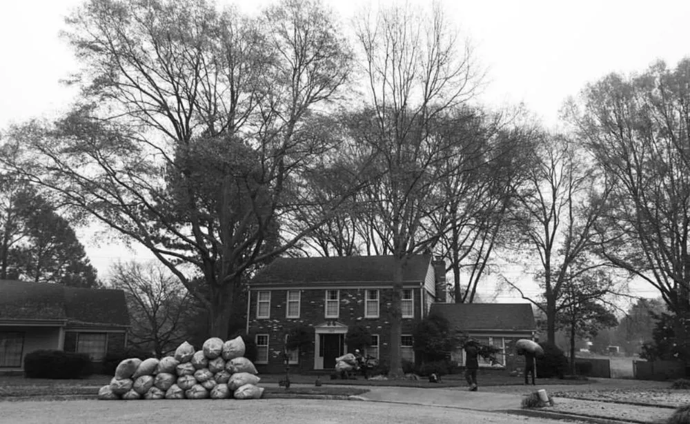 Expert lawn mowing service experts serving Memphis, TN - Wright Landscaping