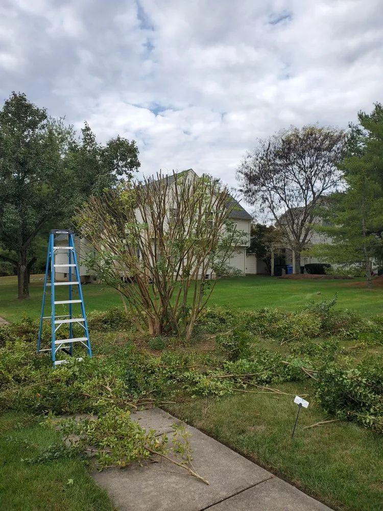 Affordable garden landscaping for year-round maintenance across Tabernacle, NJ - Wright Landscaping