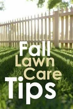 Affordable residential landscaping in Milltown, IN - Wright Lawn Care