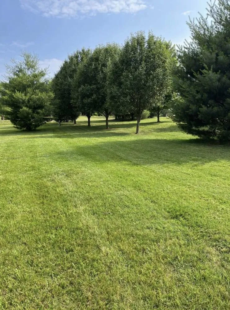 Affordable lawn mowing service for residential properties across Ozark, MO - Wright Lawn Services