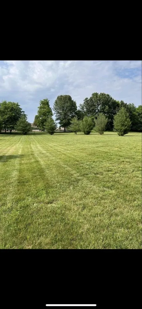 Expert yard maintenance experts serving Ozark, MO - Wright Lawn Services