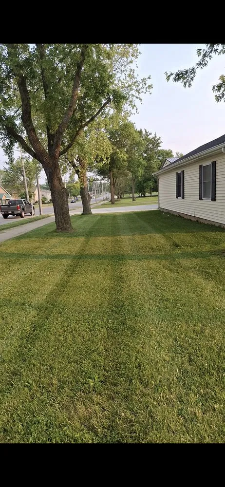 Trusted yard cleanup service in Angola, IN - Wright N Son's Lawncare