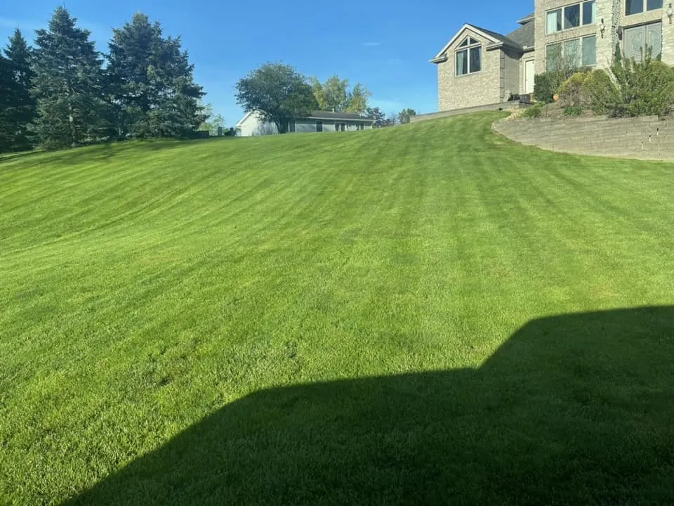 Custom yard cleanup service experts serving Clinton, IA - Wright On Time Lawn Care