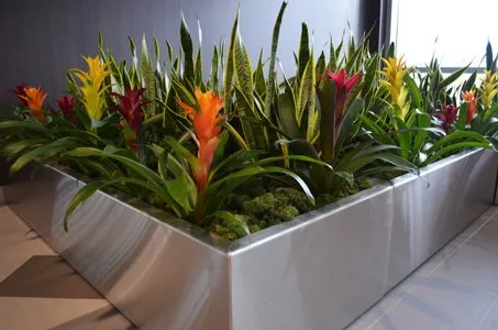 Affordable landscaping services in West Des Moines, IA - Wright Outdoor Solutions