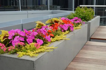 Affordable landscaping services for outdoor upgrades across West Des Moines, IA - Wright Outdoor Solutions