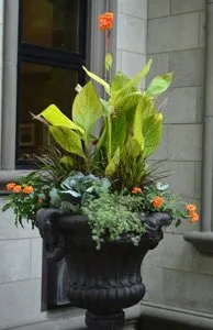 Local lawn mowing service for outdoor upgrades across West Des Moines, IA - Wright Outdoor Solutions