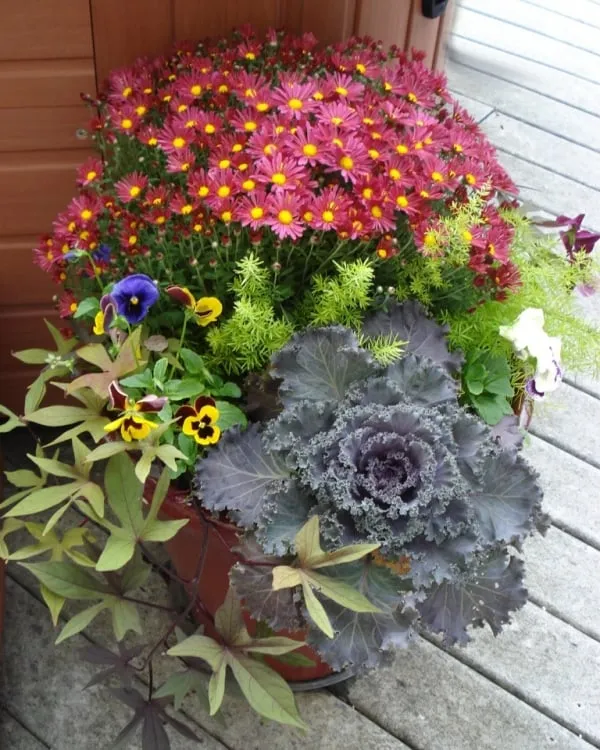 Top-rated landscape installation in West Des Moines, IA - Wright Outdoor Solutions