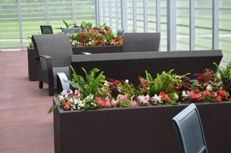 Local yard maintenance experts serving West Des Moines, IA - Wright Outdoor Solutions