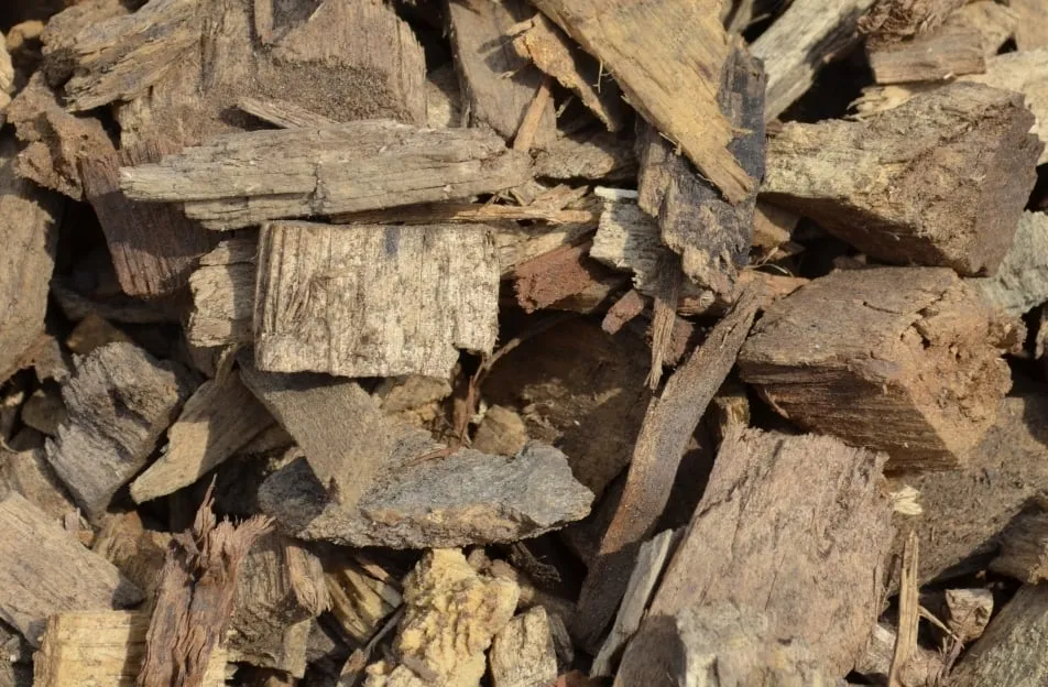 Local yard maintenance in West Des Moines, IA - Wright Outdoor Solutions