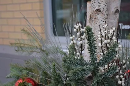 Trusted yard cleanup service experts serving West Des Moines, IA - Wright Outdoor Solutions