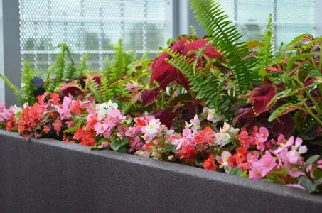 Expert outdoor landscaping near you in West Des Moines, IA by Wright Outdoor Solutions