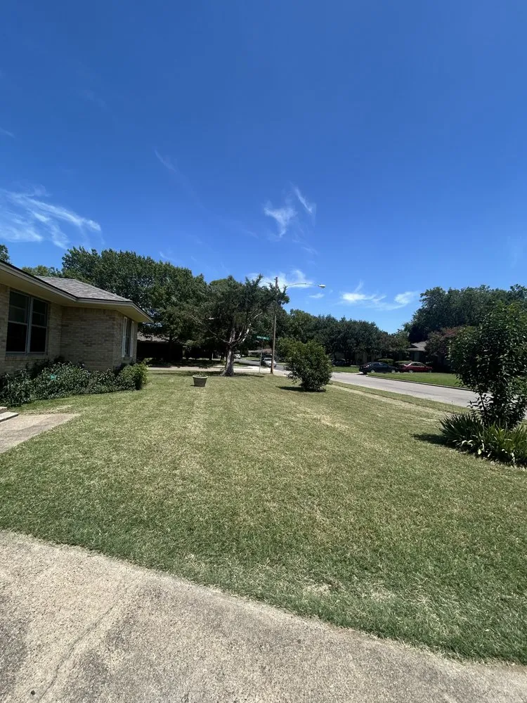 Professional landscaping services experts serving Fort Worth, TX - Wright Pro Way