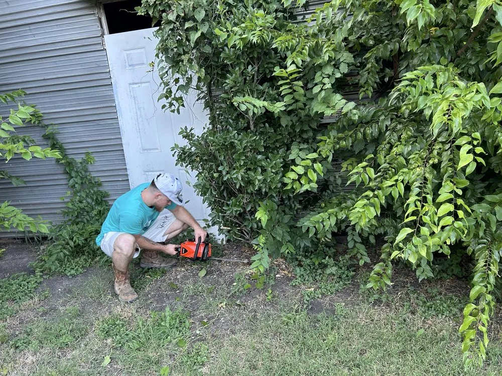 Reliable lawn care service in Fort Worth, TX - Wright Pro Way